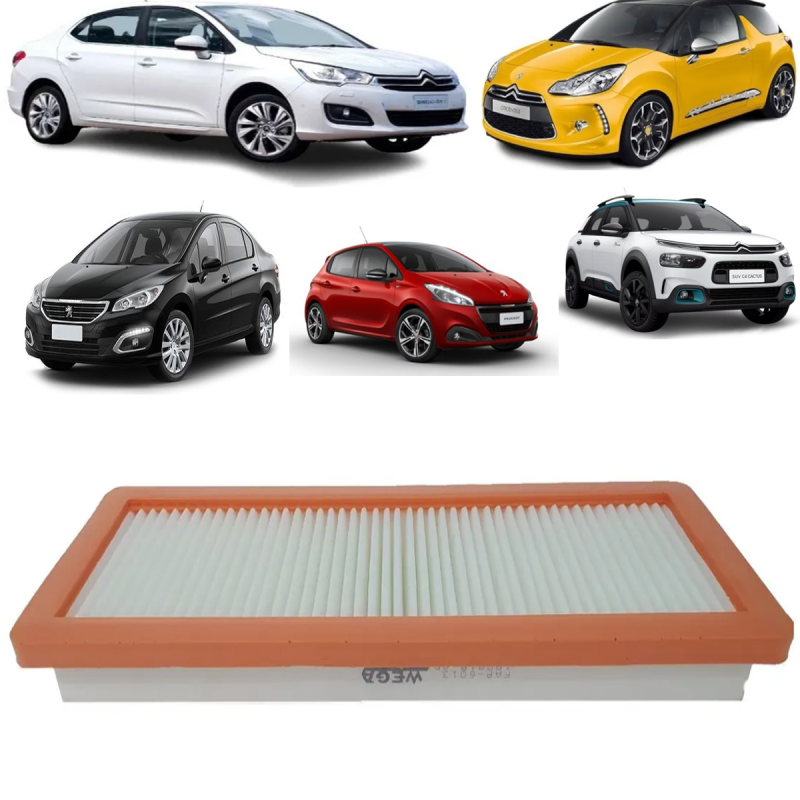 Filtro Do Ar Do Motor C4 Cactus 1.6 2018 A 2022 Peugeot 206 1.6 2