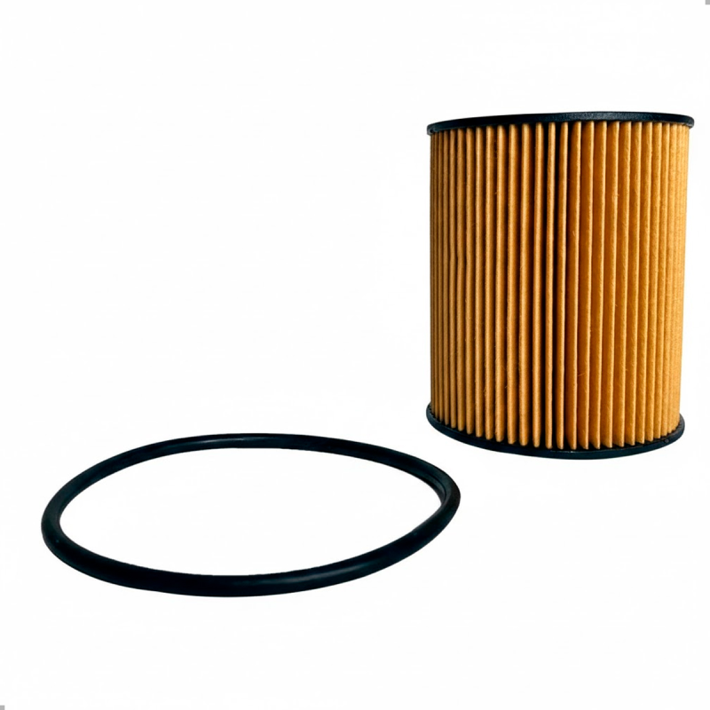 Filtro De Oleo Motor Toro Renegade Flex 1.8 2016 A 2021 Manual E