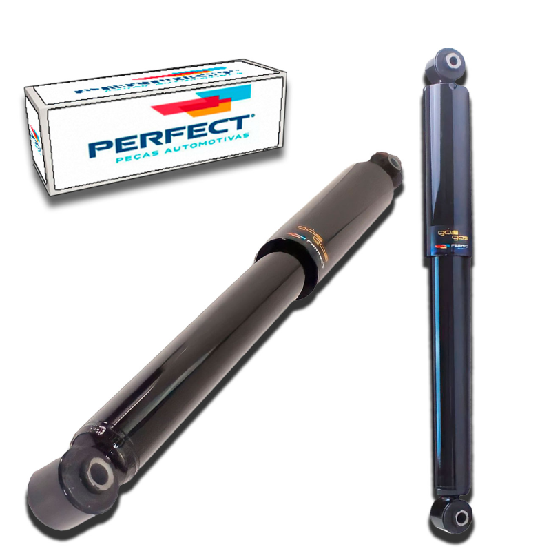 Amortecedor Traseiro C4 Cactus 2021 A 2022
